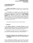 Controversia de violencia familiar