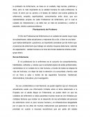 Una Tesis sobre empatia hacia el adulto mayor