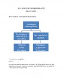 GUIA DE EXAMEN DE RECUPERACIÓN ORIENTACIÓN I