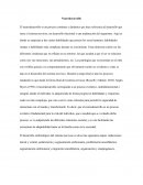 El neurodesarrollo es un proceso continuo y dinámico