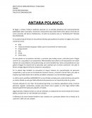ANTARA POLANCO