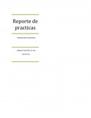 Practica 1 sesión 1 Inspección de los componentes de la cabeza del motor