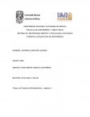 Actividad integradora 2 Unidad 1 Desastre ecologico natural” Dust Bowl “