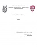 COMUNICACIÓN ORAL Y ESCRITA ENSAYO