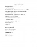 CALCULOS Y RESULTADOS. DATOS DEL GALPON.