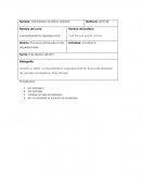 Comportamiento organizacional: en busca del desarrollo de ventajas competitivas. Perú: Eumed