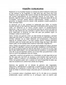 VISIÓN CUIDADANA.