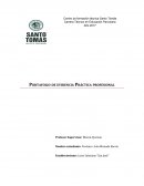 Portafolio de evidencia Práctica profesional