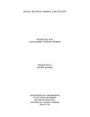 ENSAYO: RECURSOS HUMANOS COMO PROCESO