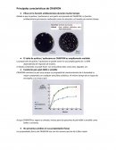 Características del crabyon