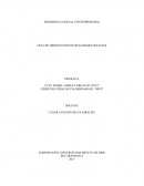 Actividad 4 Desarrollo Social contemporaneo