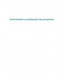 Practica 7 Formulación y evaluación de proyectos