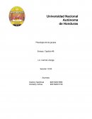 Ensayo: Grupos de referencia, grupos de membrecía y cambio de actitud