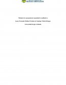 Métodos de razonamiento (cuantitativo-cualitativo)