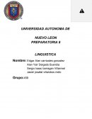 Actividad de lingüistica