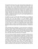 Metacognición etapa 3 comprensión Lingüística