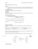 Reporte Práctica 6 Obtención de p-nitroanilina