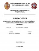 Requerimiento del agua de cultivo de caña de azucar utilizando el programa Climwat y Cropwat