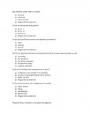 Actividad de clases Que alimento puede matar a tu perro?