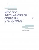 NEGOCIOS INTERNACIONALES AMBIENTES Y OPERACIONES