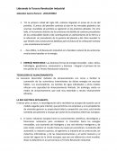 El sector industrial europeo tiene los conocimientos científicos, tecnológicos y financieros necesarios para encabezar la transición hacia las energías renovables