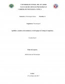 Apellidos y nombres del estudiante y/o del Equipo de Trabajo