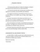 PIRAMIDES TROFICAS. IMPORTANCIA DE LA PIRAMIDE TROFICA