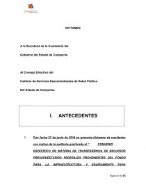 DICTAMEN GRUPOS VULNERABLES. Página 1