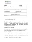 Dirección Estratégica Actividad 3: Alternativas de Solución al Caso