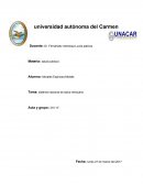 Tema: sistema nacional de salud mexicano.