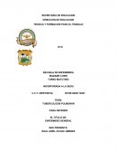 TUBERCULOSIS PULMONAR. ENFERMERO GENERAL