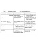 Resumen de packs de tratamiento Líneas expertas para hiperpigmentaciones