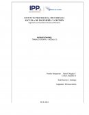 La microeconomía y su aplicación en el entorno empresarial