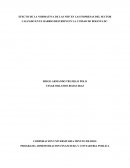 EFECTO DE LA NORMATIVA DE LAS NIIF EN LAS EMPRESAS DEL SECTOR CALZADO EN EL BARRIO RESTREPO EN LA CUIDAD DE BOGOTÁ DC.