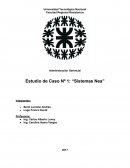 Administración Gerencial Estudio de Caso Nº 1: “Sistemas Nea”