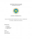 TEOREMA BÁSICO, DISTRIBUCIÓN DE WEIBULL, DISTRIBUCIÓN DE GUMBELL, DISTRIBUCIÓN DE FRECHET