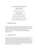 Minimización de tiempos en el proceso