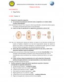 Normas estudiantiles