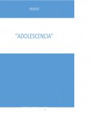 TEMA LA MURALLA CHINA Y SUS SEGUIDORES.