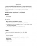 IDENTIFICACIÓN DE LAS PARTES DE UN MICROSCOPIO