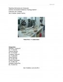 Practica 1 y 2 Geologia
