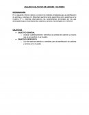ANALISIS CUALITATIVO DE ANIONES Y CATIONES