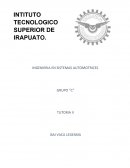 INGENIERIA EN SISTEMAS AUTOMOTRICES