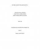 INFORME LABORATORIO MICROSCOPIA 2