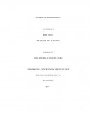 INFORMATICA EMPRESARIAL ACTIVIDAD 4 REFLEXION