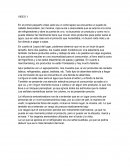 Ejemplos sobre el comportamiento del consumidor