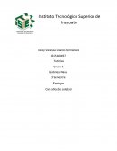 Ensayo Cien años de soledad