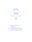 Manejo de técnicas de programación. Algoritmos basicos