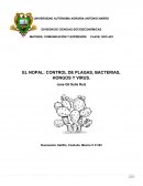 EL NOPAL: CONTROL DE PLAGAS, BACTERIAS, HONGOS Y VIRUS.