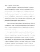 Capitulo 2: Naturaleza y ámbito de la empresa